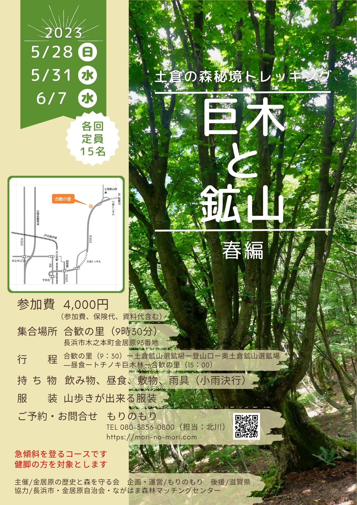 土倉の森秘境トレッキング巨木と鉱山2023春 – もりのもり